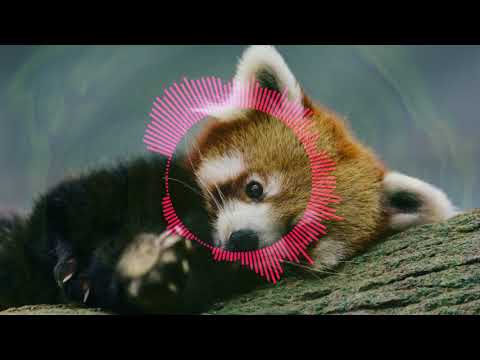 ALLFORLOVE X MAGICAL X SAMSARA X PARADE  MASHUP