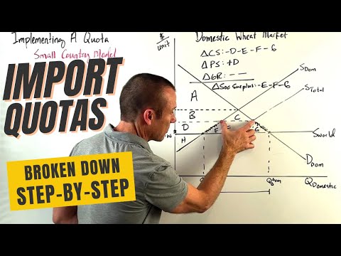 Trade Restrictions: Import Quota (An Input Limit)
