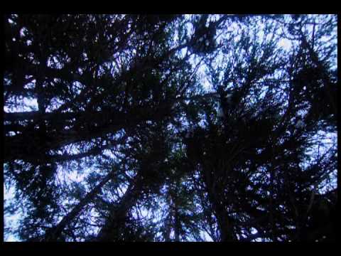 The Frankenstein Theory - OFFICIAL TRAILER