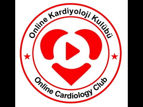 Echocardiography in Cardiogenic Shock
