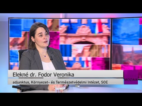 Mozaik – közéleti magazin – vendég: Elekné dr. Fodor Veronika – 2025.10.20.