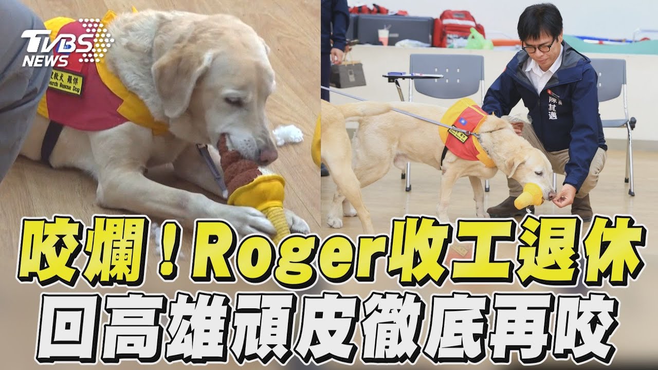花蓮地震/搜救萌犬Roger立功回高雄!陳其邁送玩具秒被咬爛