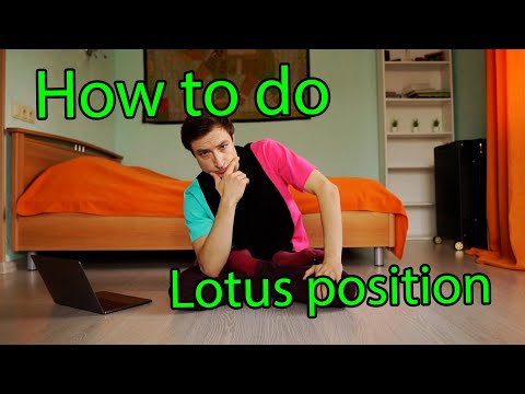 Lotus Tutorial
