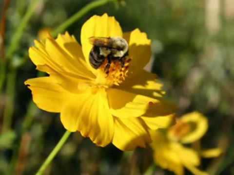 Bendita Hora de Oração