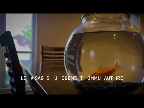 CAPJ Teaser Trailer 03 16x9  Poisson rouge