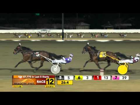 Meadowlands February 6, 2016 - Race 12 - Knocking Around