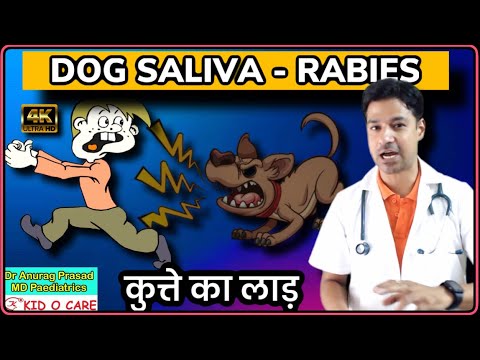 Rabies through saliva outside body | | Dr Anurag Prasad (Hindi)