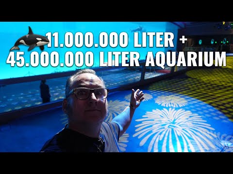 11 Millionen Liter + 45 Millionen Liter Aquarium - Orcas in China!