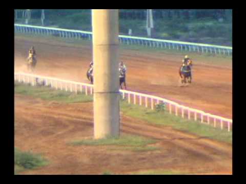 4ta. Carrera Jueves 31 de Octubre de 2013 SANTA RITA