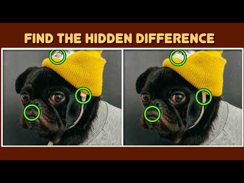 Find The Difference 2026
