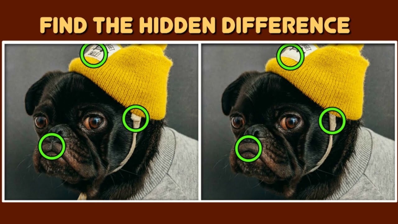 Find The Hidden Difference (Gameplay Android) : Download the Game from link in the Description