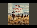Why Cowboy Why