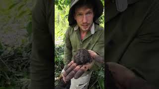 Download lagu GOOD, RICH & HEALTHY AFRICAN SOIL mp3