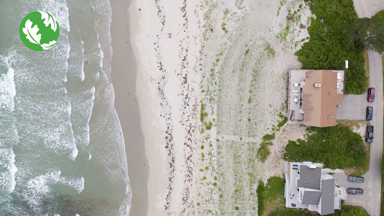 Nature is the Solution: Living Shorelines in New England
