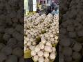 Best Coconut Packaging Process For Global Export Fruit Cutting Skills