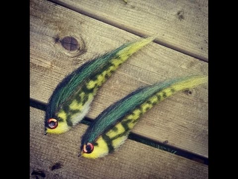 The Live Sessions, synthetics!