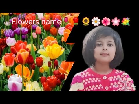 Learn Flowers name with Rania @raniaghulamshabir