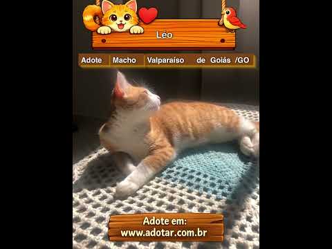 Vídeo de Léo 