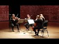 Ivana String Quartet - Light my Fire The Doors