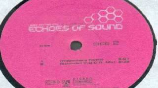 Echoes of sound - Need somebody (who needs me) (Extended V.O.C.O. Mix)