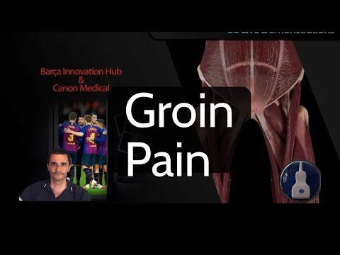 GROIN PAIN: Live Ultrasound Demo | Adductors, Iliopsoas, Pubis & Hip – Tokyo Forum