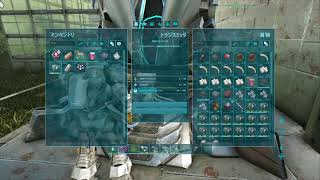 ark 参加型、ノード.osd