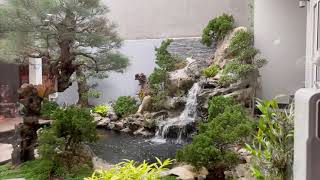 Hồ Cá Koi FFuvico