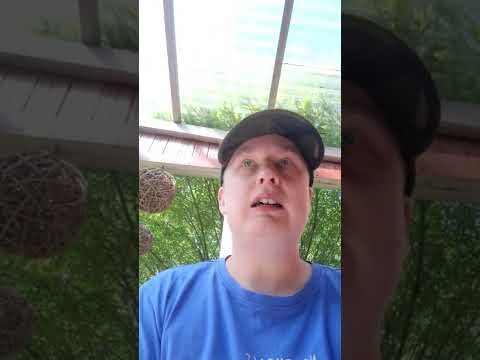 jalkapallon miesten harjoitusottelu suomi norja ennakko klo 14.55