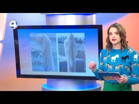 Дементоры изо льда