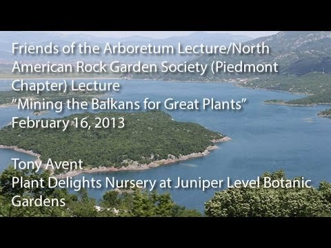 "Mining the Balkans for Great Plants" - NARGS (Piedmont Chapter) Lecture
