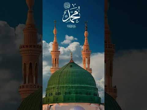 World precious place🥰🥰#islamicshorts #ytshorts #love #madina