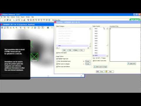 Video Image
