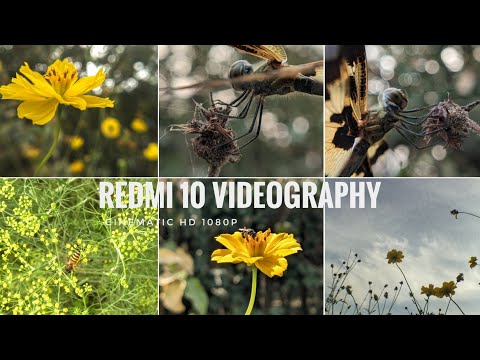 Redmi 10  videography. #redmi10 @xiaomiredmi10c39 #redmi #gcam #mobilevideography #nature #macro