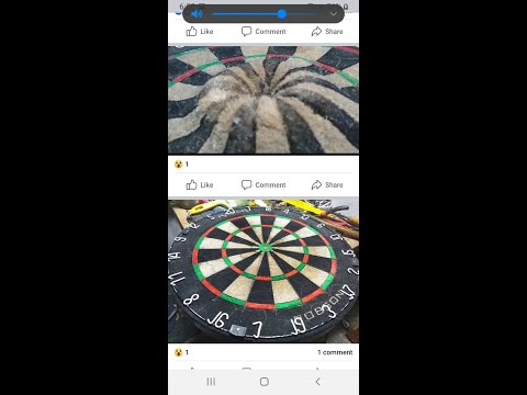 Robson Razor Dart board repair, Mayon look a like