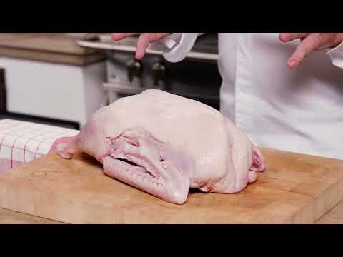 MEISTERKLASSE I Klassischer Gänsebraten