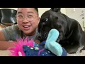 ONE YEAR ON LOW DOSE TESTOSTERONE VOICE JOURNEY Sick Version