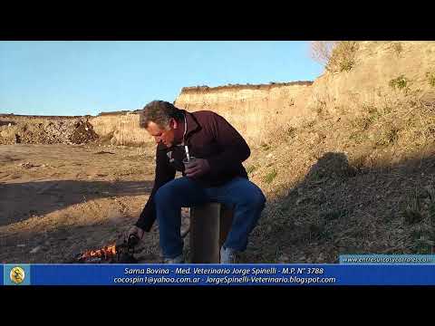 04-07-22 - Med.  Veterinario Jorge Spinelli - Sarna Bovina