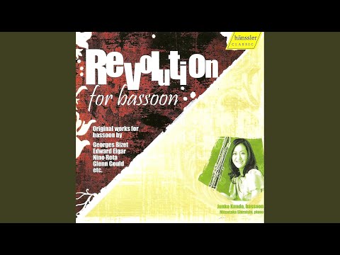 Der alte Brummbar, Op. 210 (arr. for bassoon and piano)