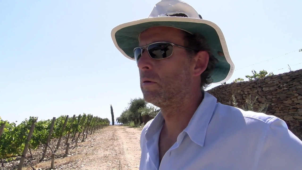 Sunset Tasting in the Douro