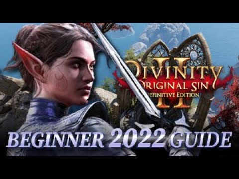 2022 Beginner's Guide For Divinity Original Sin 2 Definitive Edition