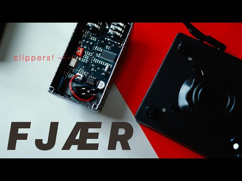 Fjord Fuzz FJAER Spring Reverb Black on Black image 2