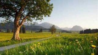 Helicopter - The feeling