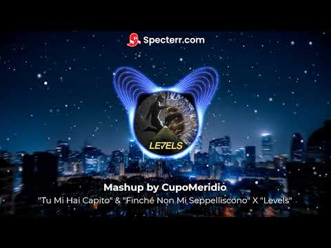 Doppio Mashup - "Tu mi hai capito" & "Finchè non mi seppelliscono" X "Levels"