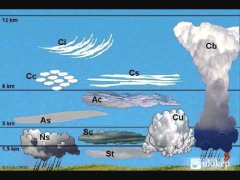 Matyi és a Hegedűs - Lent az erdő szélén