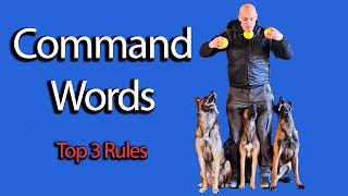 Top 3 Rules for Commands