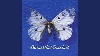 Dovevo Fare Del Cinema