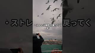 HSS型HSPは「眠れないとき、薬に頼ろうとする」 #hspsycho #hspあるある