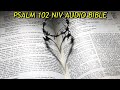 PSALM 102 NIV AUDIO BIBLE (with text)