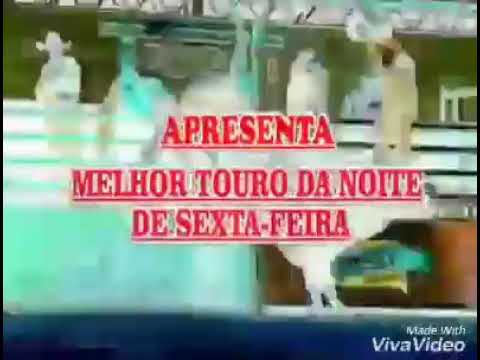 TOURO BADALO DA SONHO AZUL, MELHOR TOURO DA NOITE