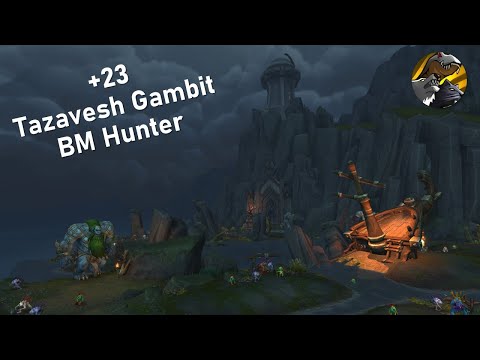 Tazavesh Gambit +23 Beastmastery Hunter